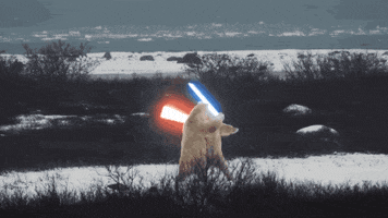ams  GIF
