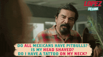 Tv Land Mexicans GIF by Lopez on TV Land