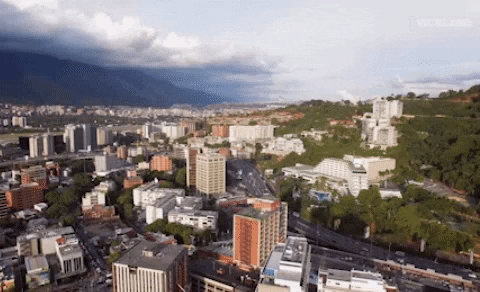 viceland GIF by STATES OF UNDRESS