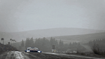 race rally GIF by Red Bull
