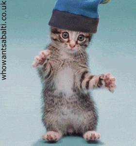 stoney  GIF