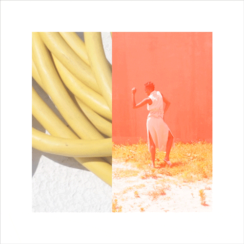 Samantha Shannon Animation GIF by SKS Studios