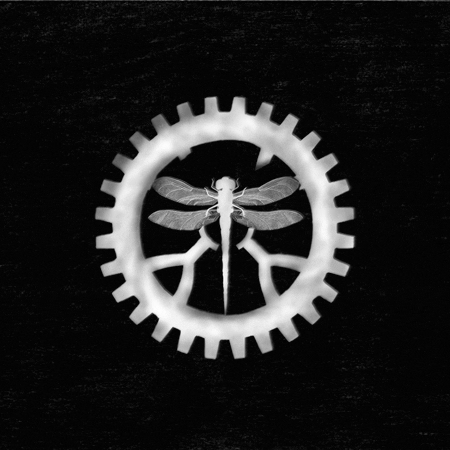 sas #secretauthorssociety #sas #newsas #sas1901 #secret #society #key #mysticbottle #map #community #sev GIF