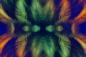 palm tree mirror GIF by Morena Daniela