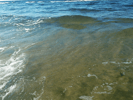 mia #seawaves GIF