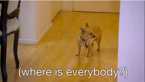 Looking Around Shahs Of Sunset GIF