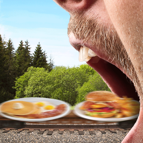 Humor Lol GIF by Lance Ford