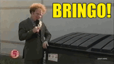 alecpesola steve brule bringo please dont delete this i need it GIF