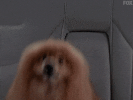 Barking X Files GIF by The X-Files
