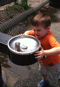 Video gif. A little boy pushes the button on a drinking fountain and closes his eyes as the water spurts out, spraying him in the face on and landing on his head.