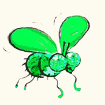 surrealipop cartoon new fly bug GIF