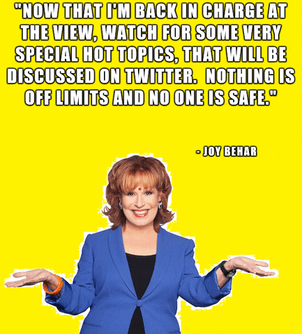 dude778778 the view joy behar GIF