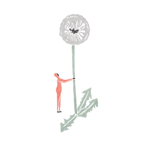 Thoka Maer animated GIF