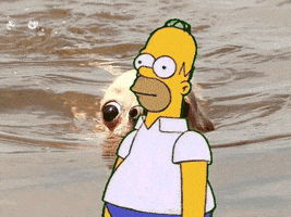 disappear homer simpson GIF