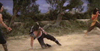 martial arts deal with it GIF by Shaw Brothers