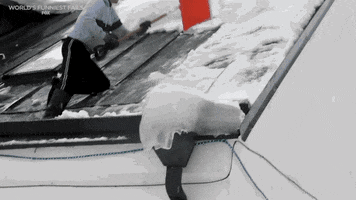 200.gif?cid=fc005b082384088a9d8213e50812142bd79568b486518161&rid=200.gif&ct=g