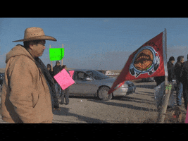 dsm  GIF