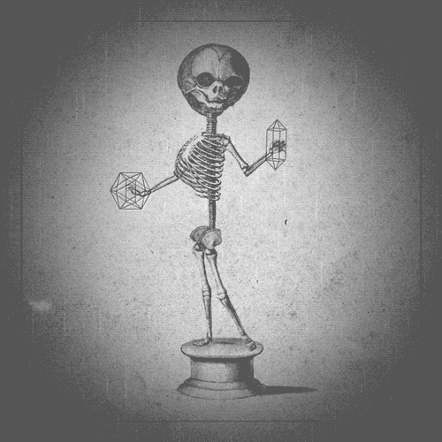 skeleton draw GIF by Morena Daniela