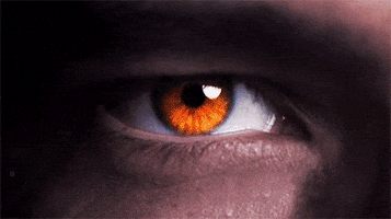 tika fate GIF