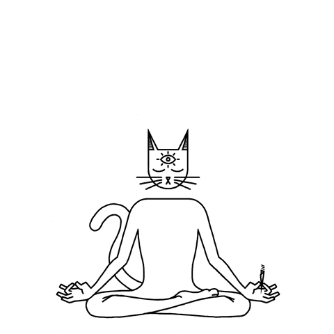 third eye cat GIF by Lost Cat™