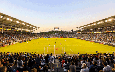 Full Stadium GIFs - Get the best GIF on GIPHY