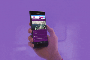 mateuszkoziorowski  GIF