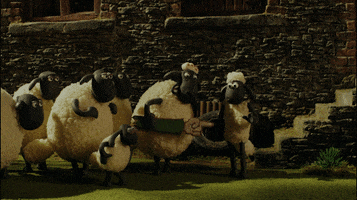 animation llama GIF by Shaun the Sheep