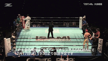 vitaliykostyrenko zst go kashiwazaki k-place GIF