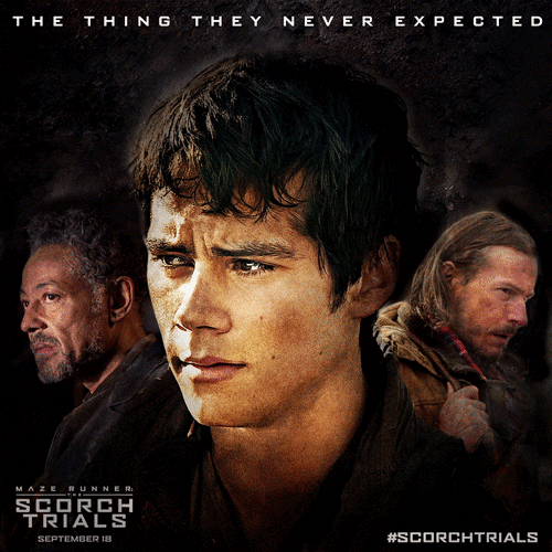 Mazerunner GIFs Get the best GIF on GIPHY