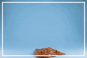 luisa-hanika christmas santa photography chocolate GIF