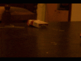 tate  GIF