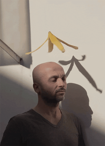 circulations  GIF