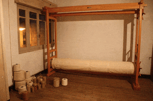 patritri  GIF