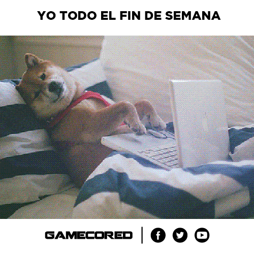 johannaldazabalflores  GIF