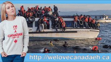 GeoffWells canada multicultural GIF