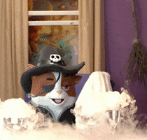 cat dinner GIF by Bubble Witch
