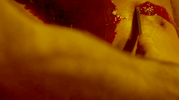 katsliman querelle GIF