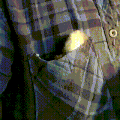 muddymelly  GIF