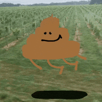 poop emoji GIF by Jon Burgerman