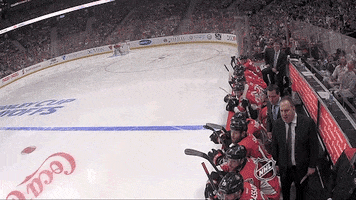 ottawa senators bench reaction GIF by NHL