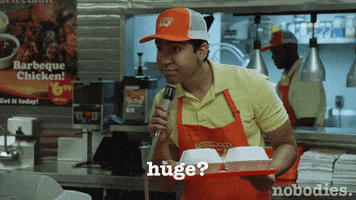 pronounce tv land GIF by nobodies.
