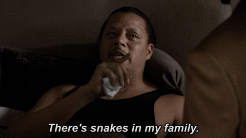 fox broadcasting snakes GIF by Empire FOX by empire
