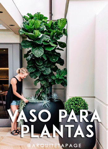 arquitetapage  GIF