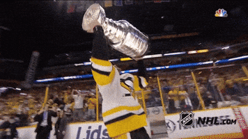 Stanley Cup GIFs - Find & Share on GIPHY