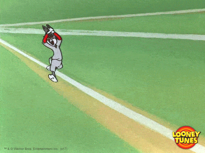 Home Run Win GIF by Looney Tunes - Find & Share on GIPHY