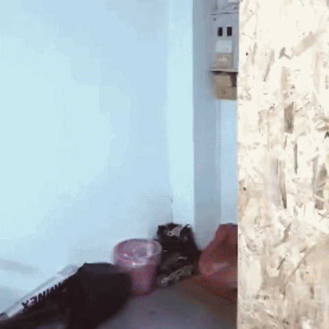jarkendia cupid GIF