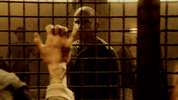 michael scofield fox GIF by Prison Break