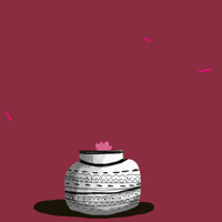 cactus grow GIF by amandahertelendi