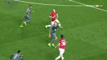 wesport  GIF
