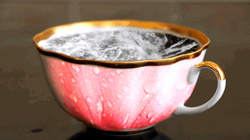 kgiorgi coffee rose sea cup GIF